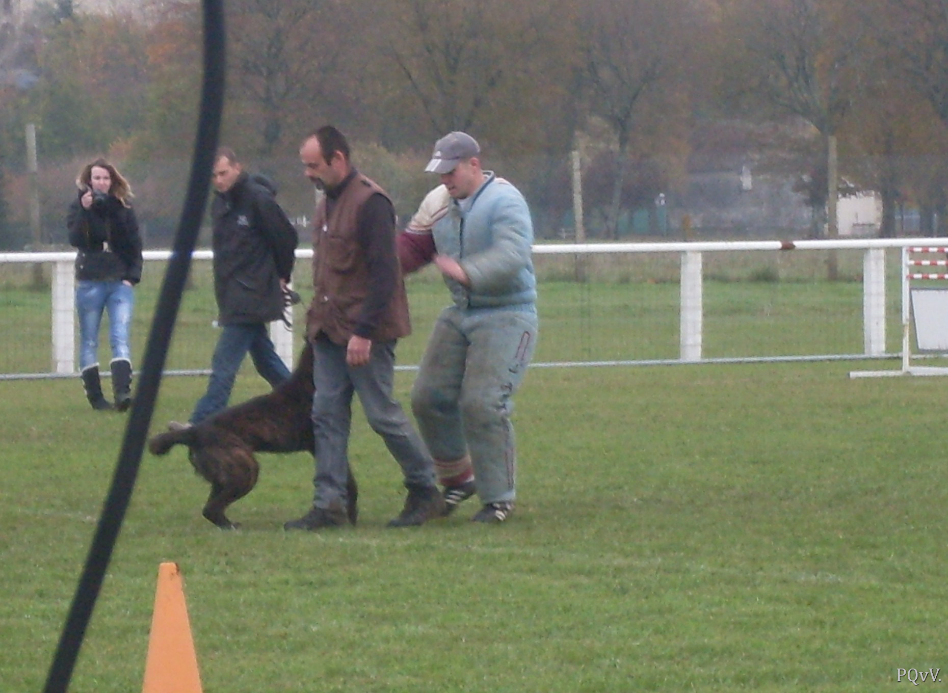  Chabal du Domaine des Sphinx Noirs